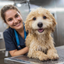 Common Misconceptions About Pet Grooming Tools