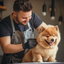Straight, Curved, or Thinning? Choosing the Right Shear for Each Pet Coat Type